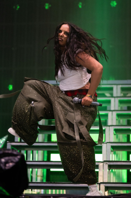 2222618474_l.jpg
