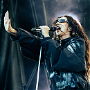 IMG_9711.jpeg