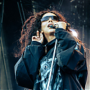 IMG_9713.jpeg