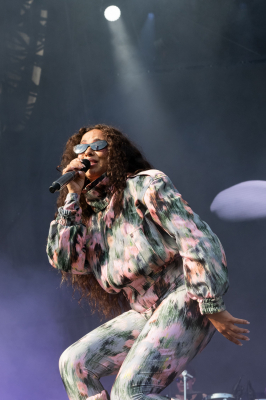 shutterstock_editorial_LollapaloozaDay4_17026694co.jpeg