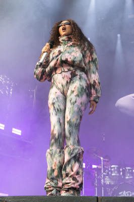 shutterstock_editorial_LollapaloozaDay4_17026694cq.jpeg