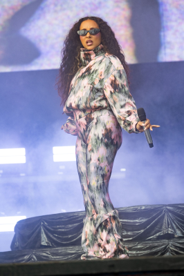 shutterstock_editorial_LollapaloozaDay4_17026694ct.jpeg
