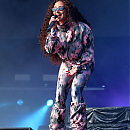 IMG_0239.jpeg