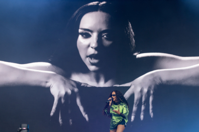shutterstock_editorial_Outside_Lands_Music_Festival_17060998ab.jpeg
