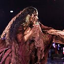 IMG_1631.jpeg