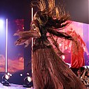 IMG_1641.jpeg