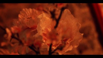 y2mate_com_-_Galantis_David_Guetta__Little_Mix__Heartbreak_Anthem_Official_Music_Video_1080p_021.jpg