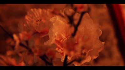 y2mate_com_-_Galantis_David_Guetta__Little_Mix__Heartbreak_Anthem_Official_Music_Video_1080p_022.jpg