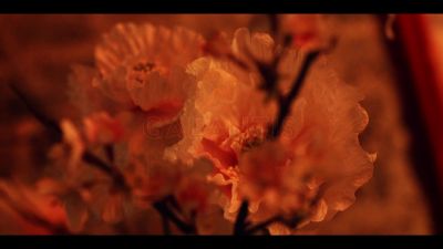 y2mate_com_-_Galantis_David_Guetta__Little_Mix__Heartbreak_Anthem_Official_Music_Video_1080p_023.jpg