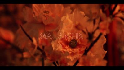 y2mate_com_-_Galantis_David_Guetta__Little_Mix__Heartbreak_Anthem_Official_Music_Video_1080p_028.jpg