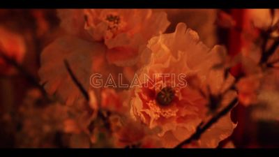 y2mate_com_-_Galantis_David_Guetta__Little_Mix__Heartbreak_Anthem_Official_Music_Video_1080p_031.jpg