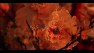 y2mate_com_-_Galantis_David_Guetta__Little_Mix__Heartbreak_Anthem_Official_Music_Video_1080p_033.jpg